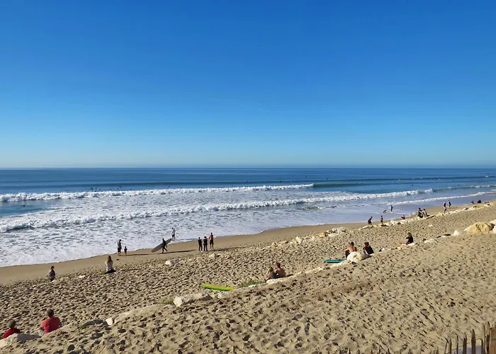 Primavera-14 By Interhome Appartement Lacanau